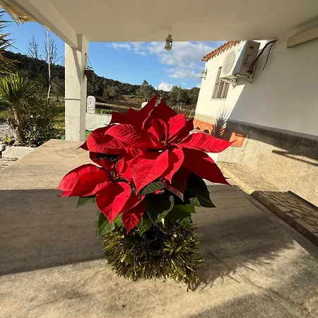 La Blanca De Сasa de vacaciones *